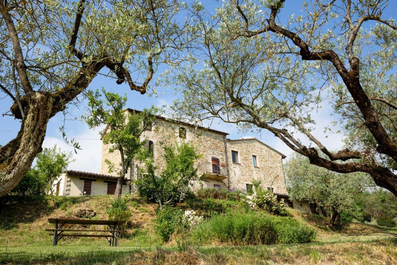 Villa Colle Di Rocco Limigiano Exteriér fotografie