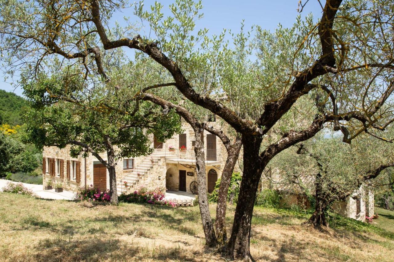 Villa Colle Di Rocco Limigiano Exteriér fotografie